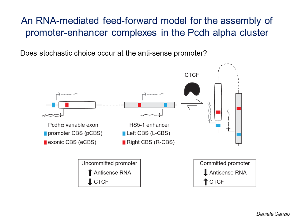 2: Estrutura de uma RNA feedforward 3.4 Activaa c~ a o e F unn c