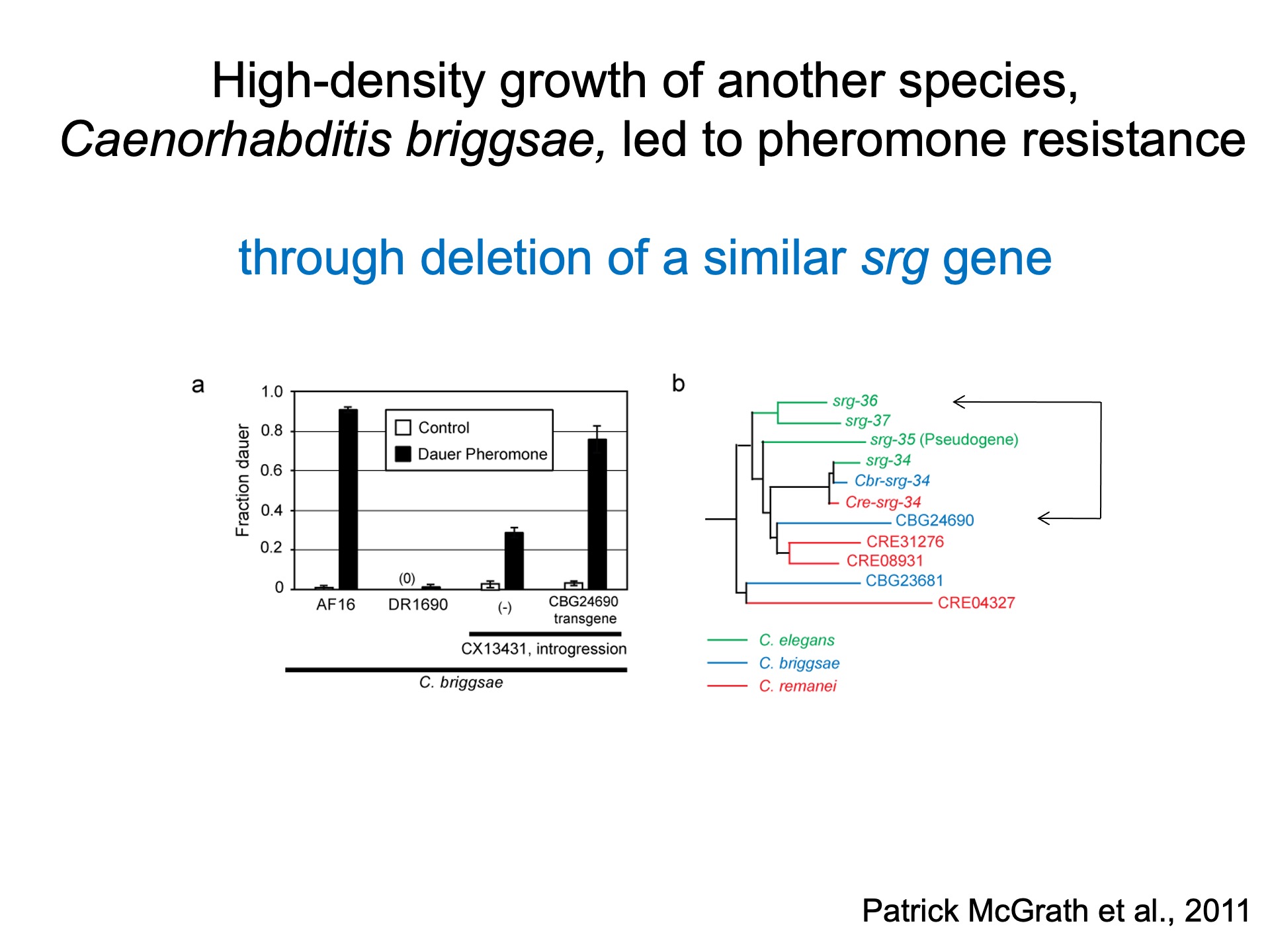 Celebrating the Life and Science of Sydney Brenner Cori Bargmann