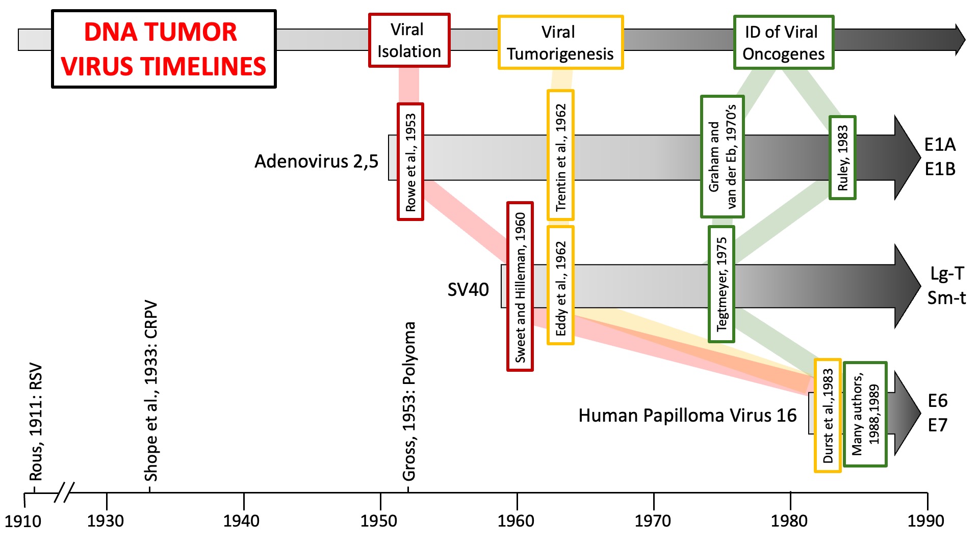 Cancer Genetics: History & Consequences - Ed Harlow - DNA tumor