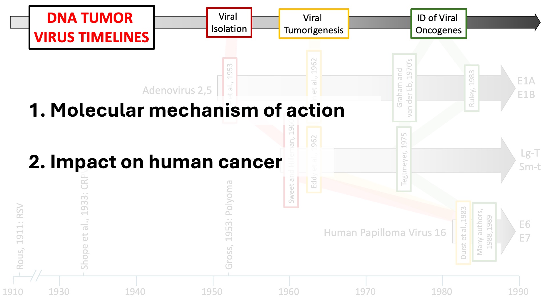 Cancer Genetics: History & Consequences - Ed Harlow - DNA tumor