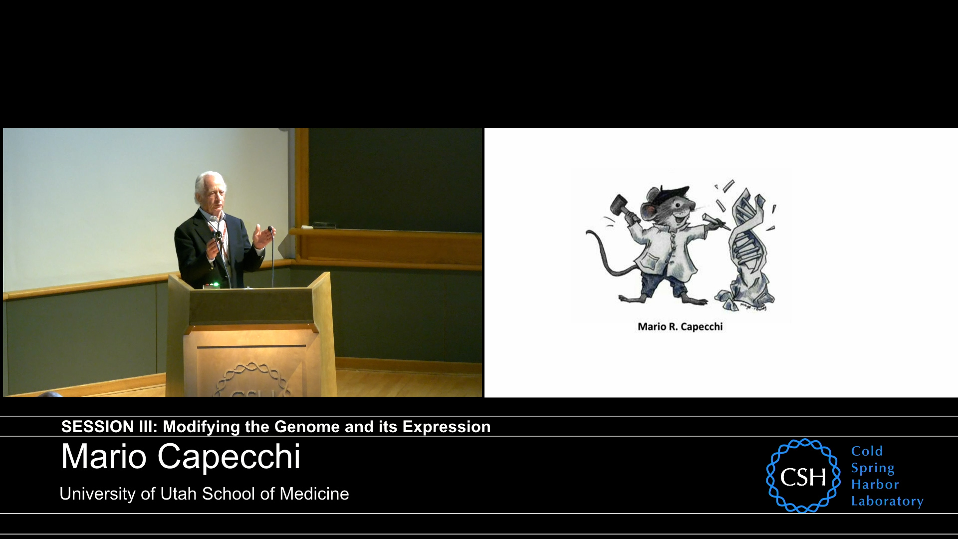 Homologous Recombination in Mice - Video
