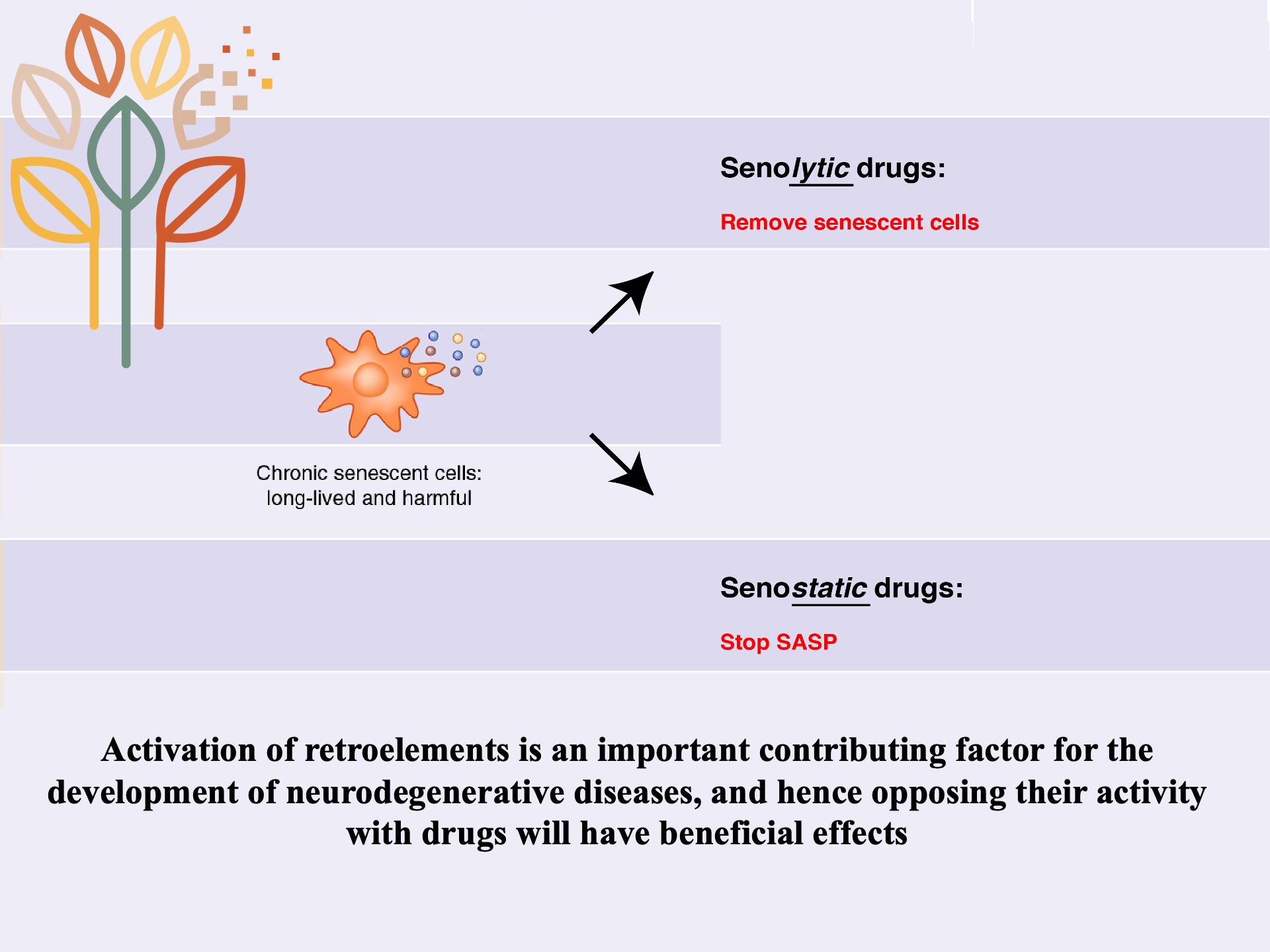 Derepression Fifty Years of Reverse Transcriptase - John M. Sedivy - Retrotransposon ...
