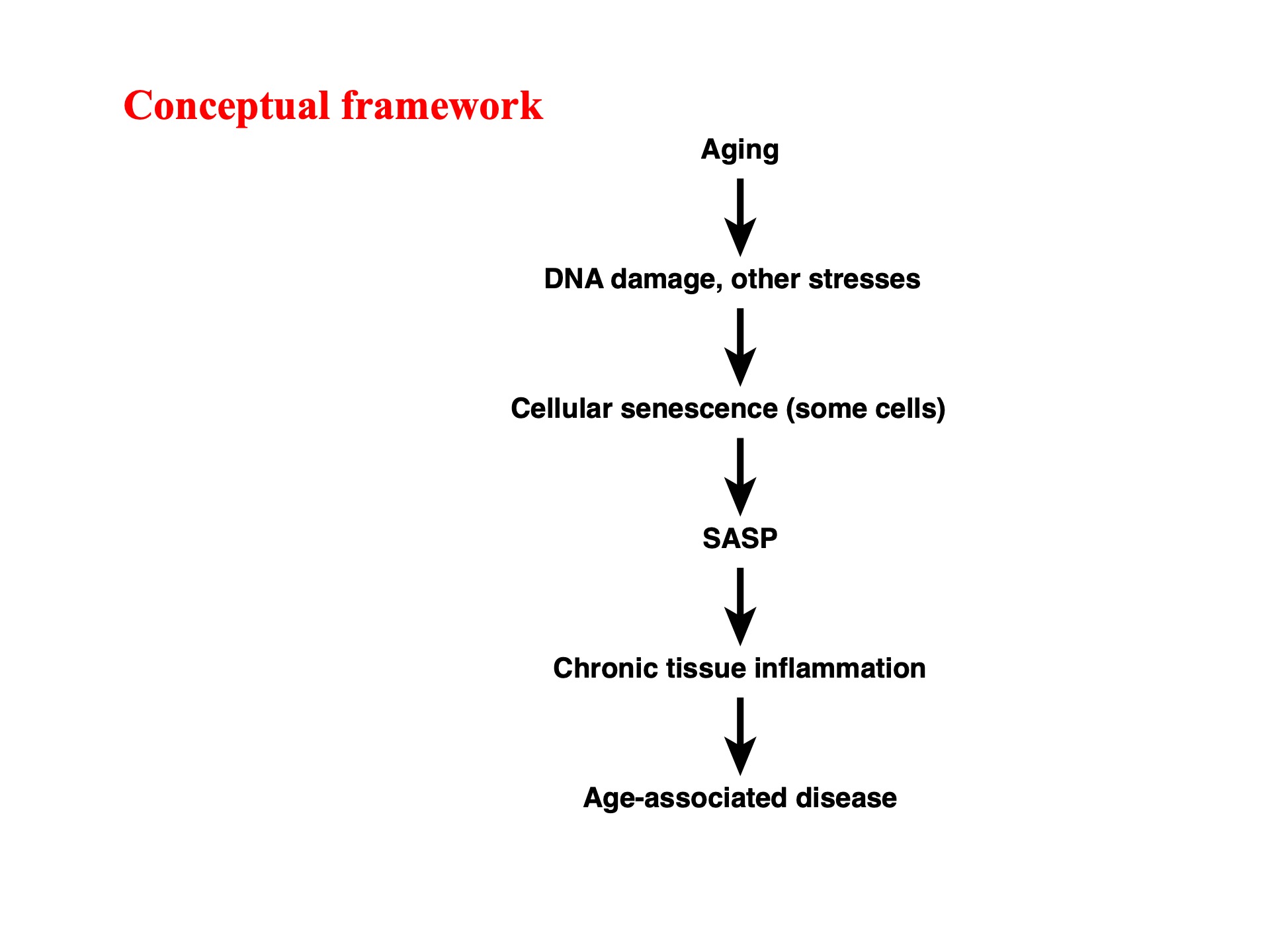 Derepression Fifty Years of Reverse Transcriptase - John M. Sedivy - Retrotransposon ...