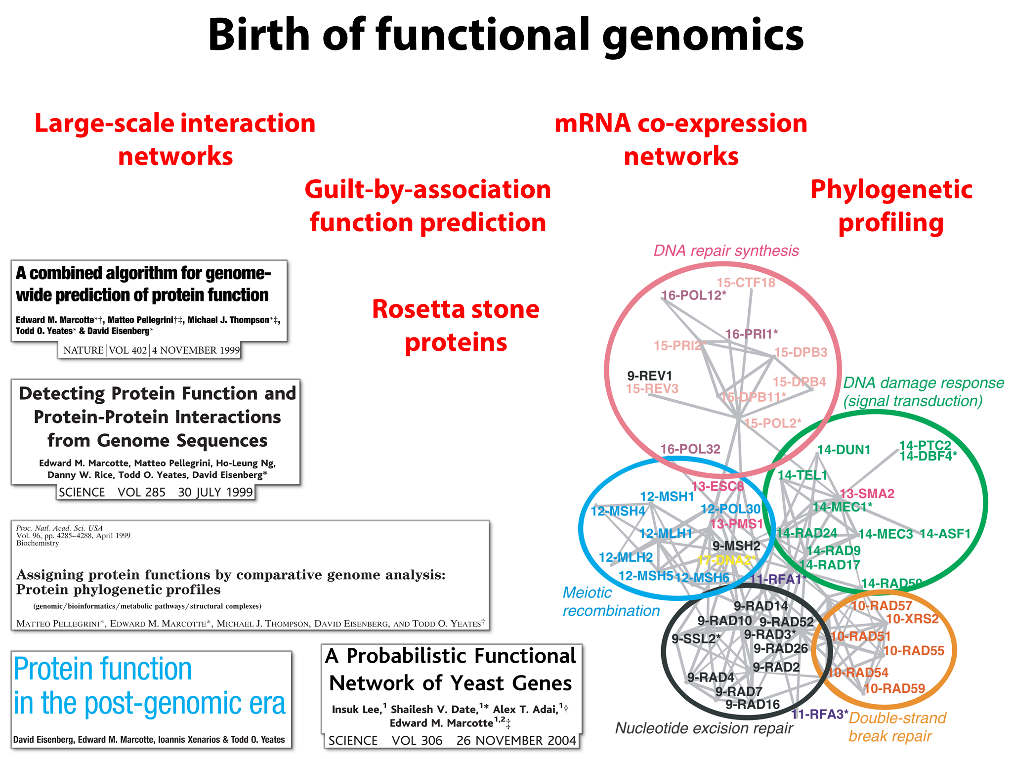 Yeast Research Meeting - Edward Marcotte - Bloody yeast! From humanized ...