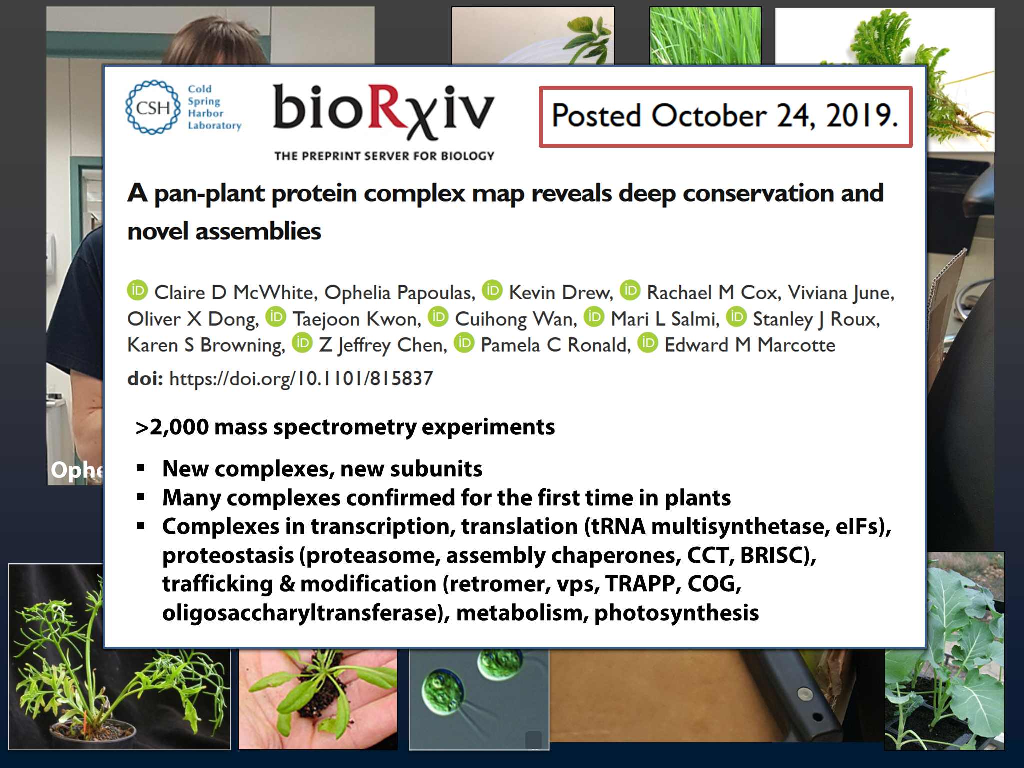 Yeast Research Meeting - Edward Marcotte - Bloody yeast! From humanized ...